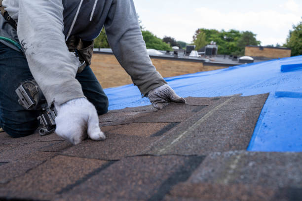 Best Residential Roofing Contractor  in Somerset, OH