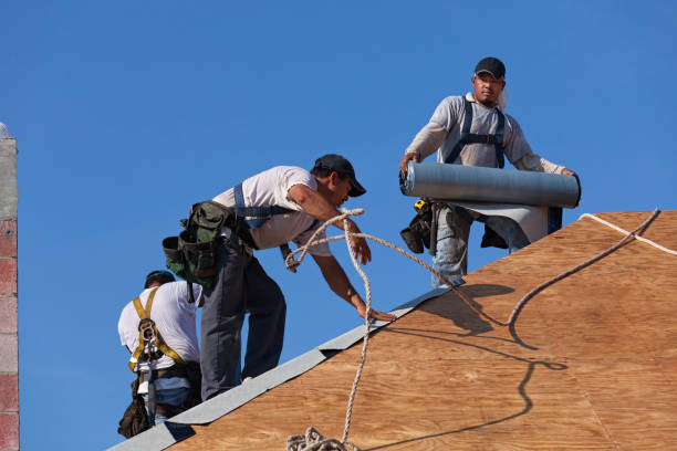 Best Metal Roofing Contractor  in Somerset, OH