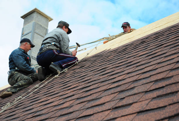 Best Roofing Contractor Near Me  in Somerset, OH