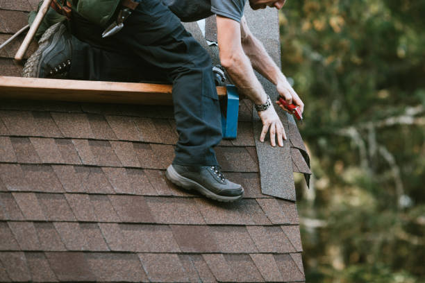 Best Roof Gutter Cleaning  in Somerset, OH